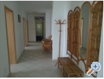 Villa Jana - Omi Kroatien