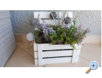 Appartements Ivica I Julija osi - Omi Kroatien