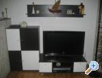 Apartman Dan�i