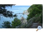 Apartman Vlasta Marušići apartmani Omiš smještaj Hrvatska
