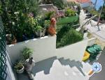 AppartementsJuriiPisak - Omi Kroatien