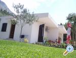 Apartmani Lović apartmani Omiš smještaj Hrvatska
