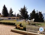 Apartments Vesna