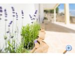 Apartamenty Mara - Omi Chorwacja