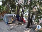 Autocamp Danijel