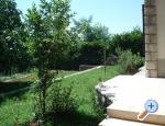 Apartments Mare