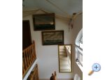 Apartmny Antonia - Orebi  Peljeac Chorvtsko