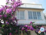 Apartmanok Cale - Orebi  Peljeac Horvtorszg