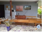 Apartmny Vidi - Orebi  Peljeac Chorvatsko