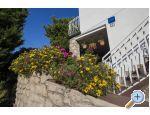 Apartments Irena - Starigrad Paklenica Croatia