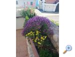 Apartmani Šimun