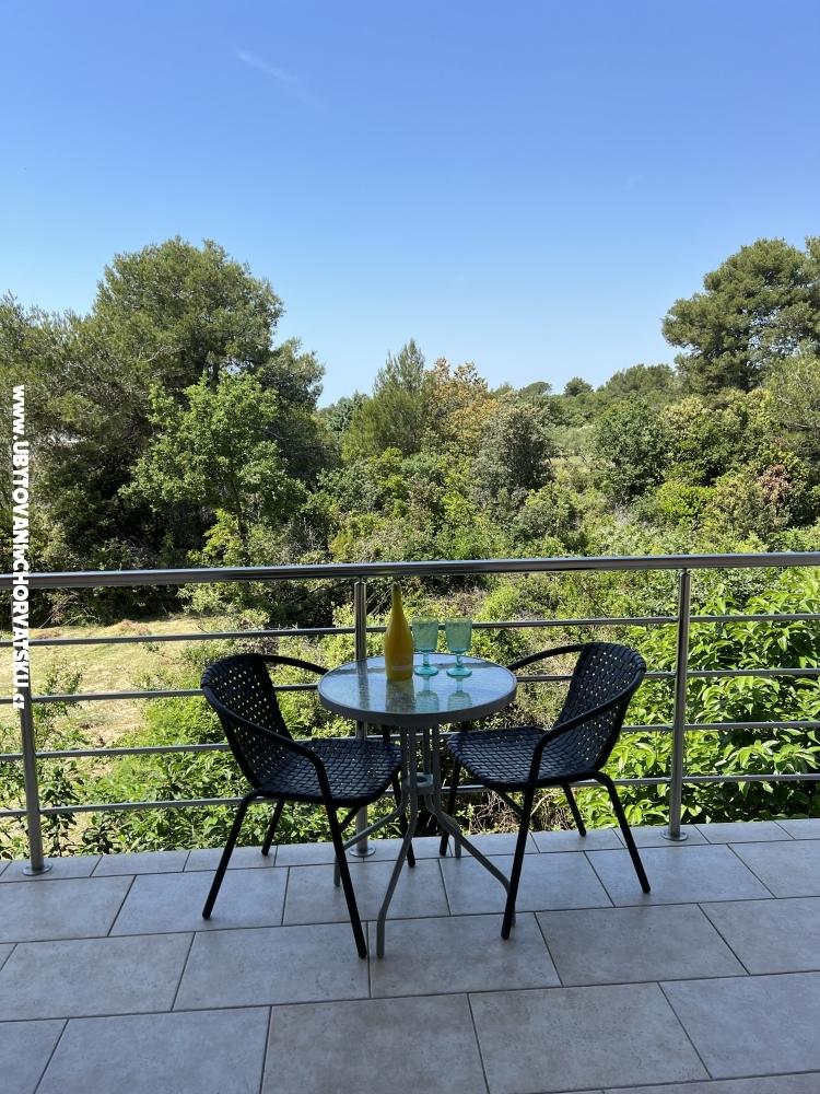Apartmny s baznom Villa Julia 3 - Pakotane Chorvtsko