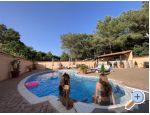 Apartments with pool Villa Julia 3 - Pakotane Croatia