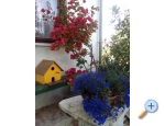 Appartements Lokva - ostrov Paman Kroatien