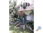 Appartements Lokva - ostrov Paman Kroatien