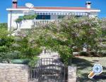 Apartmani Petra
