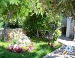 Apartmani Petra