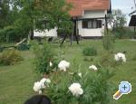 Apartmani Helena