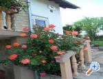 Apartmani i sobe Plitvice Kriz