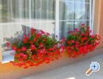 Rooms Magdi�