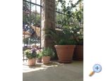 Apartmny Villa Spomenka - Podgora Chorvatsko