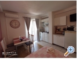 Apartamenty Zubac - Podgora Chorwacja