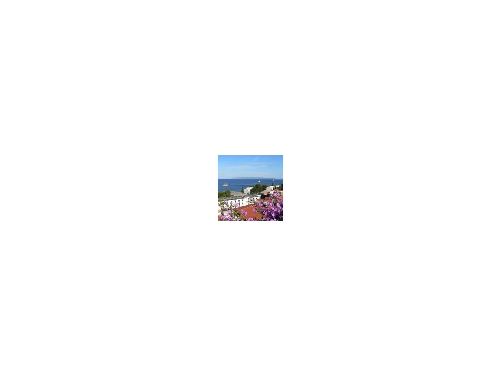 App Lili - Podgora Croatia