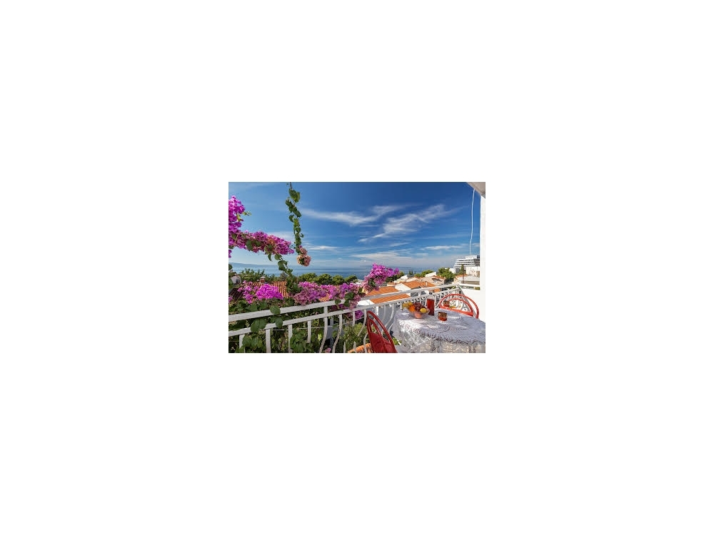 App Lili - Podgora Croatia