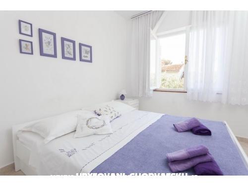 App Lili - Podgora Croatia