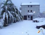 Apartmani Toni