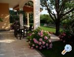 Apartm�ny Sara i Nino