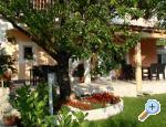 Apartm�ny Sara i Nino