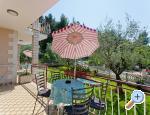 Pore�, Kroati� - Apartments Pineta