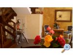 Appartements Gracia - Pore Croatie