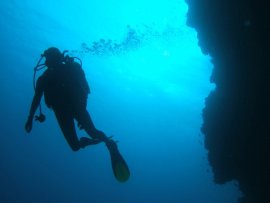 potápění Alains cliff / útes