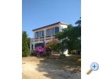 Apartma Topi