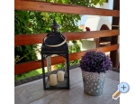 Appartements Lantana - Privlaka Kroatien