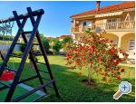 Apartmny Lantana - Privlaka Chorvtsko