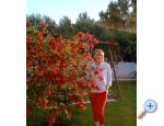 Apartmny Lantana - Privlaka Chorvtsko