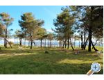 Apartmny More - Privlaka Chorvtsko
