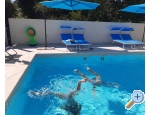 Villa Bianca - swimming pool - Privlaka Kroatien