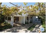 Apartmani Vinkuran Pula Chorwacja