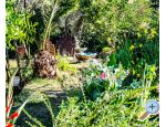 Apartmn pool Slivar - Pula Chorvatsko