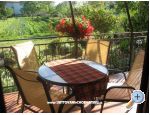 Apartment Anna  apartmaji Hrva�ka Pula
