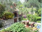 Apartman Haus Vesna, ostrov Rab, Hrvaška