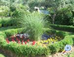 Apartman Haus Vesna, ostrov Rab, Hrvaška