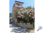 Apartmny Hoti - ostrov Rab Chorvatsko