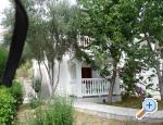 Apartments & rooms Lanca