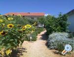 apartmani Marija Kroatien