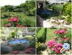 Apartments Skoblar Holiday-Rab